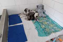 IMG-20230724-WA0015