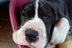 IMG-20241003-WA0003