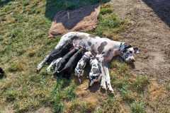 IMG-20241003-WA0005