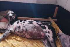 IMG-20241003-WA0009