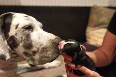 IMG-20241003-WA0011