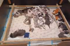 IMG-20241003-WA0021