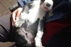 IMG-20241003-WA0035
