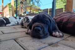 IMG-20241004-WA0034