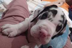 IMG-20241004-WA0067