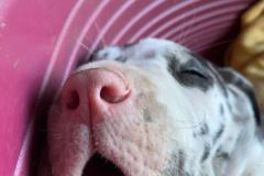 IMG-20241004-WA0081