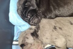 Carlos-und-Carla