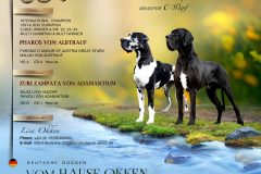 Zuri_Pharos_card_05_a