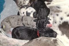 alle-mit-Mama